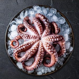 Pulpo 2/4