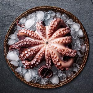 Pulpo 1/2