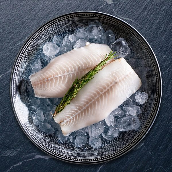 Totoaba