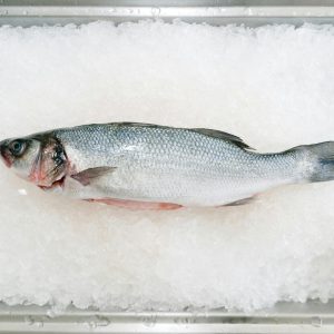 branzino